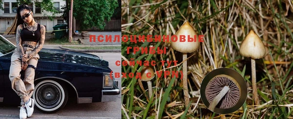 mix Арсеньев