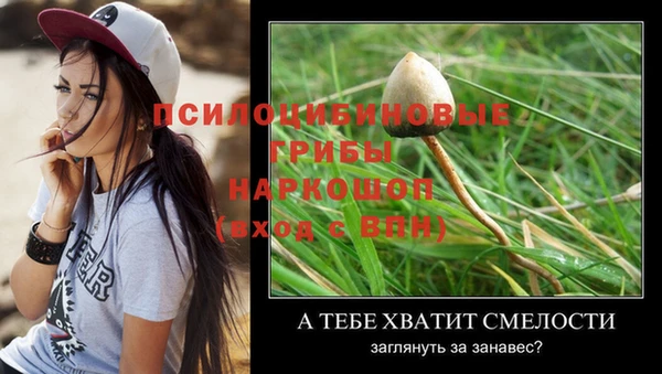 ALPHA-PVP Аркадак