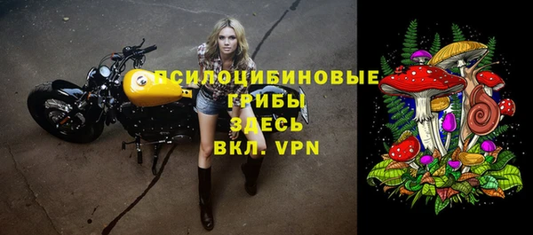 ALPHA-PVP Аркадак