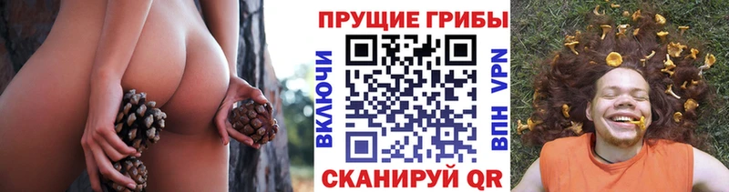 Галлюциногенные грибы ЛСД  Моздок 